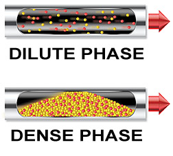 dense phase vs dilute phase
